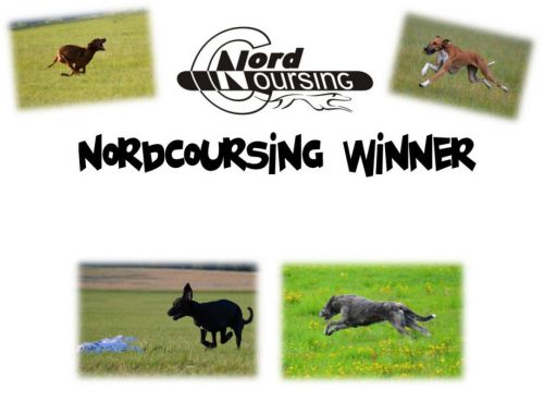 NordCoursing winner