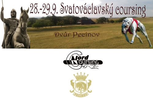 Svatováclavský coursing - výsledky