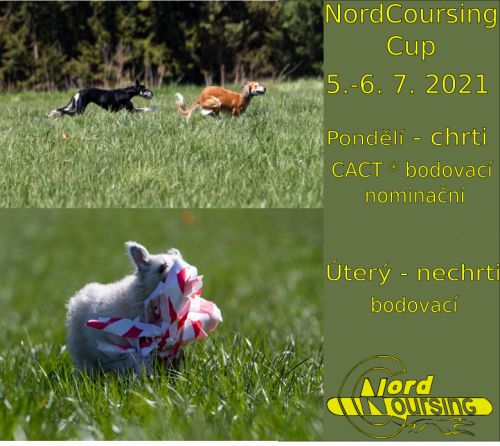 NordCoursing Cup 2021 - výsledky